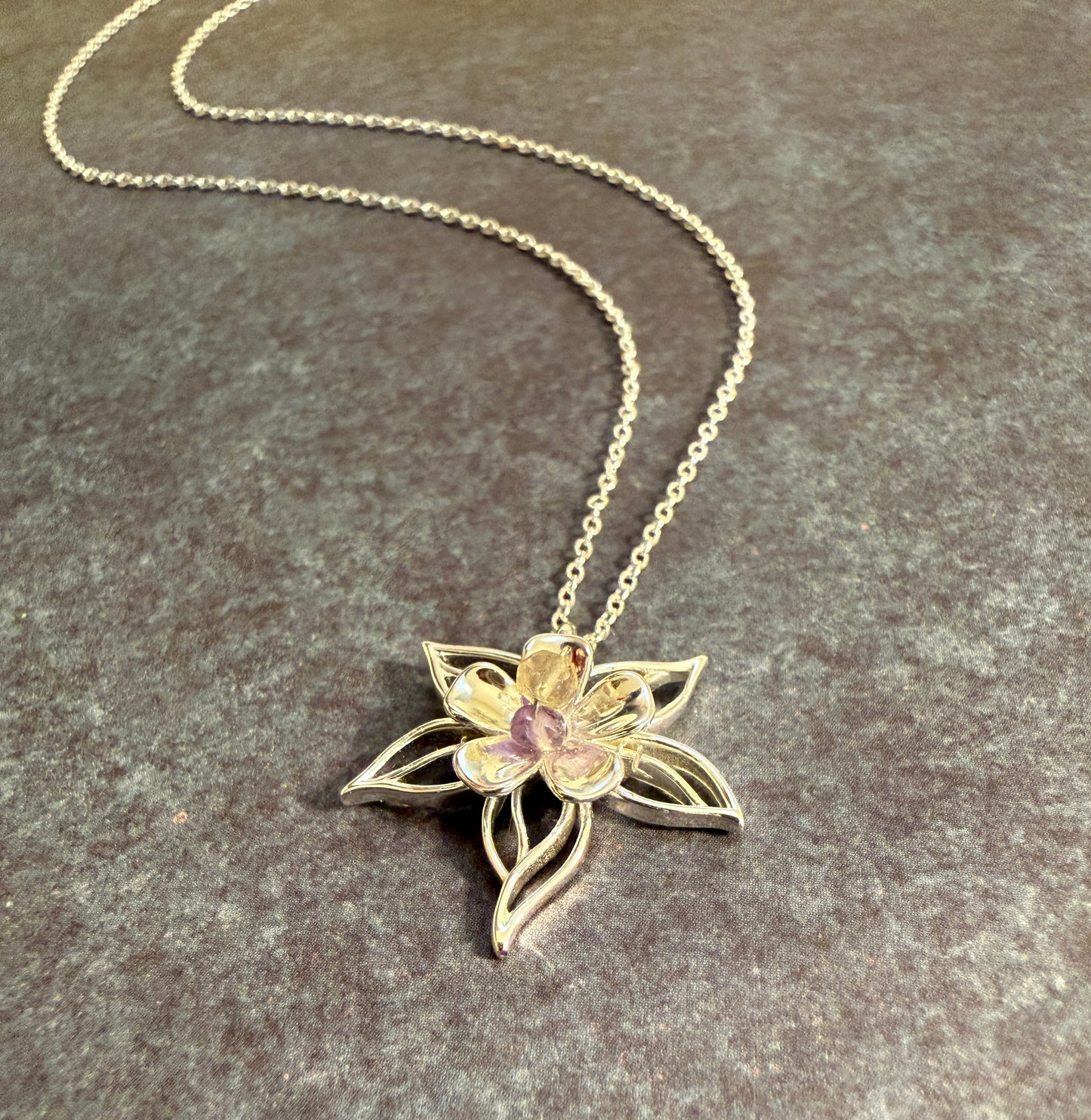 Signature Collection - Columbine Enchantment - Alpine Flower