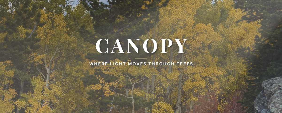 Canopy collection tile