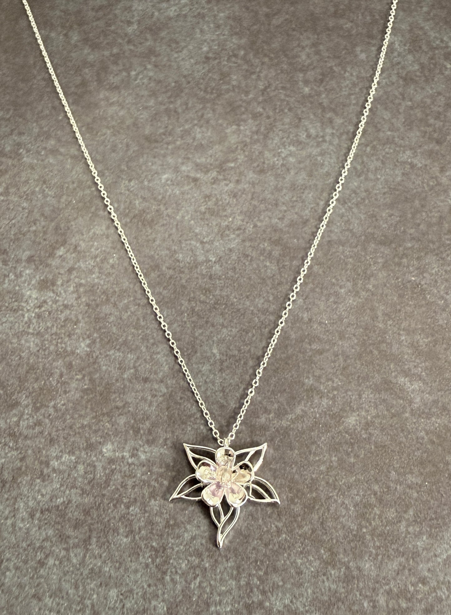 Signature Collection - Columbine Enchantment - Alpine Flower