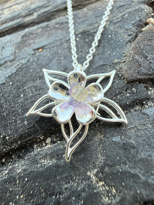 Signature Collection - Columbine Enchantment - Alpine Flower